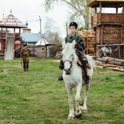 Казаки и кони. Старина Сибирская