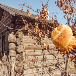 Встречаем весну. Праздник "Сороки"