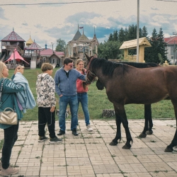 Наши дружелюбные лошадки любят погладиться и ждут вас в гости.