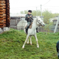 Казаки и кони. Старина Сибирская