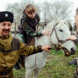 Казаки и кони. Старина Сибирская