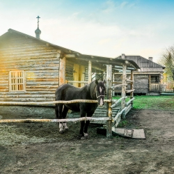 Старина Сибирская. Дом ямщика Копьёва