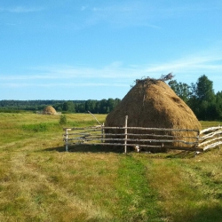 Август. Спасы.