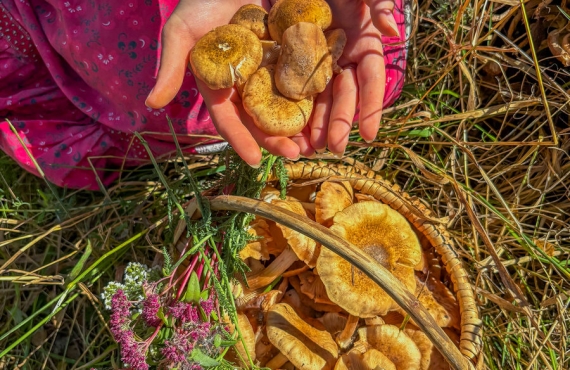 А Макаровна сказала, что...